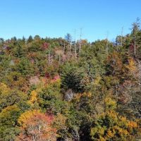 49 - Acres in Swain County images 5