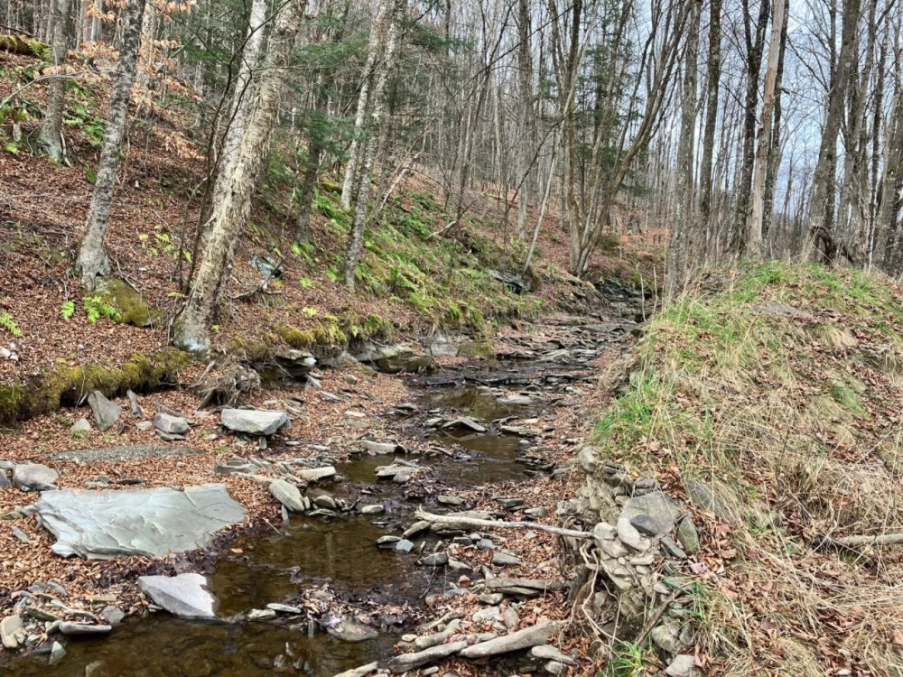65 acres Hunting Land and Recreational Land with Stream in Deposit NY 645 Big Hollow Rd featured image