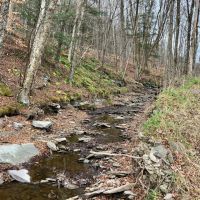65 acres Hunting Land and Recreational Land with Stream in Deposit NY 645 Big Hollow Rd