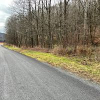 65 acres Hunting Land and Recreational Land with Stream in Deposit NY 645 Big Hollow Rd images 4