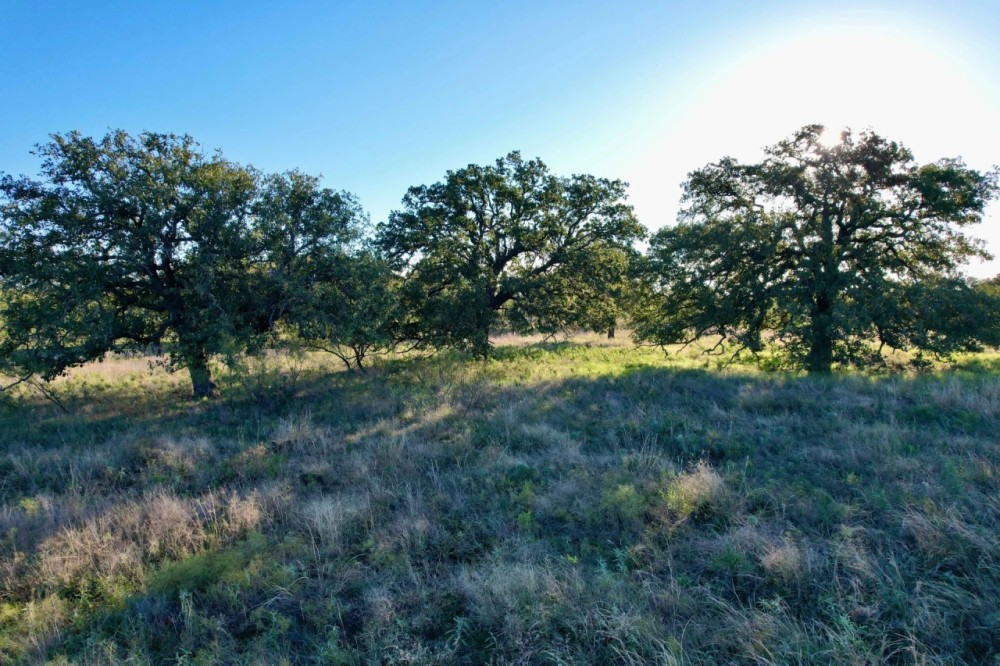 Back on the Market 5 - Acres Eastland County featured image