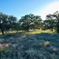 Back on the Market 5 - Acres Eastland County
