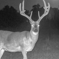 Okemah Ranch House images 3