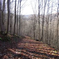 Maple Mountain