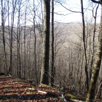 Maple Mountain images 2