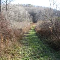 Maple Mountain images 3