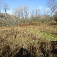 Maple Mountain images 4