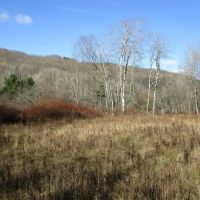 Maple Mountain images 5