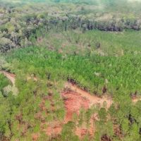 Lincoln County Hunting Land Homesite for Sale