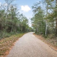 Lincoln County Hunting Land Homesite for Sale images 2