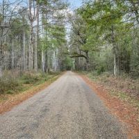Lincoln County Hunting Land Homesite for Sale images 3