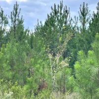 Highway 83 S images 4