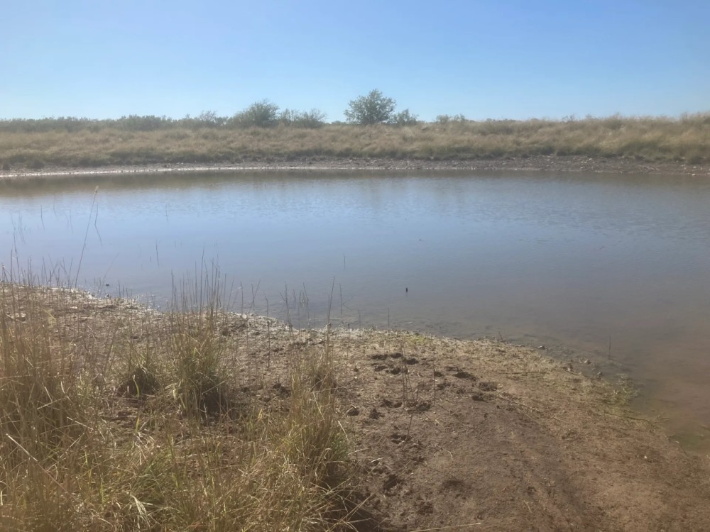 New Listing 80 -Acres Coleman County featured image