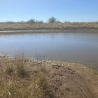 New Listing 80 -Acres Coleman County