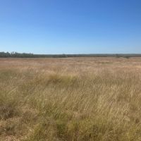 New Listing 80 -Acres Coleman County images 5