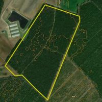 Secluded Timber Investment Near Kinston No Restrictions High Potential images 2