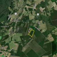 Secluded Timber Investment Near Kinston No Restrictions High Potential images 4
