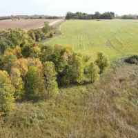 ONLINE ONLY LAND AUCTION - Little Cormorant Lake - Becker County MN - 92 Acres with Lake Frontage images 2