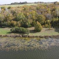 ONLINE ONLY LAND AUCTION - Little Cormorant Lake - Becker County MN - 92 Acres with Lake Frontage images 4
