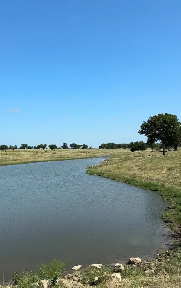 Kingston Cattle Ranch 750 featured image