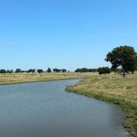Kingston Cattle Ranch 750
