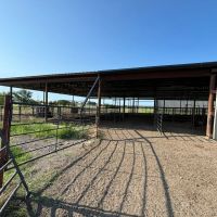 Kingston Cattle Ranch 750 images 2