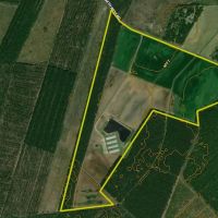 Sutton Hog Production Farm - Prime Investment Opportunity With Agriculture And Recreation images 2
