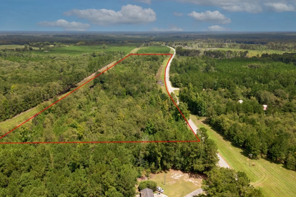 Screven County 22 Acres featured image