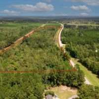 Screven County 22 Acres images 1
