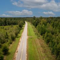 Screven County 22 Acres images 3