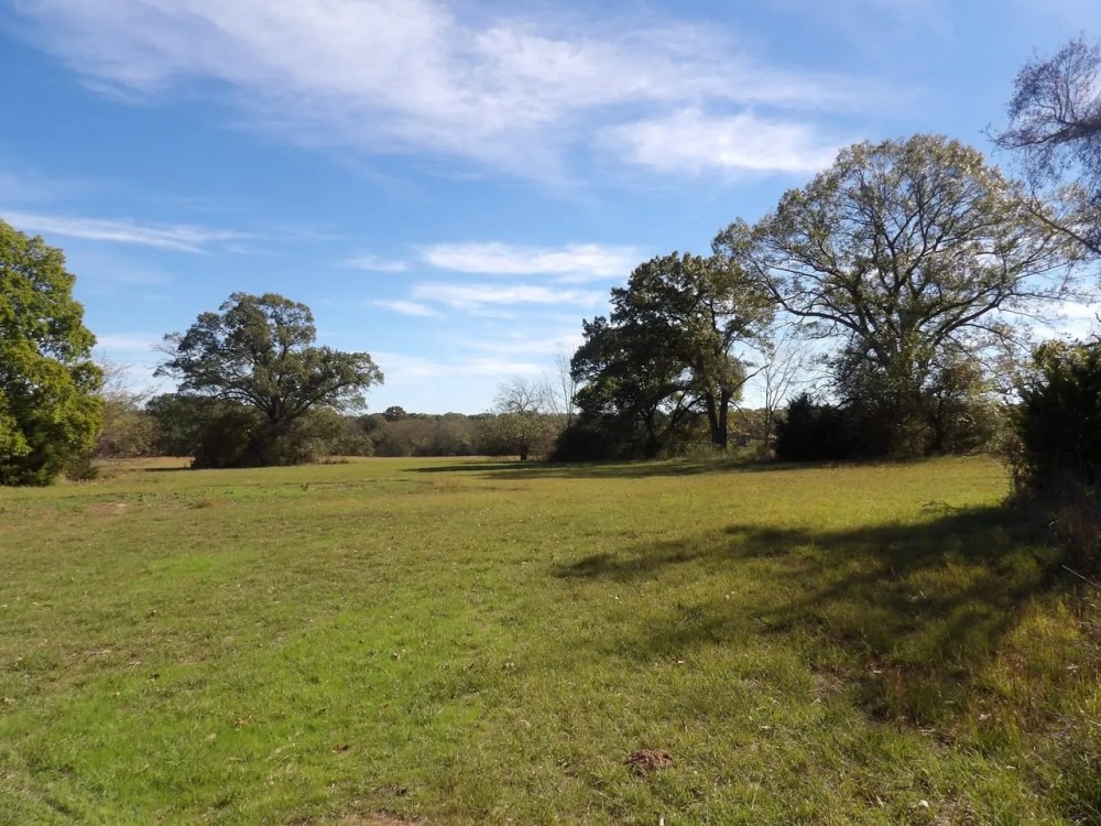 60 ACRES WITH OPEN AND WOODED FOR HUNTING featured image