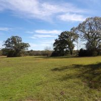 60 ACRES WITH OPEN AND WOODED FOR HUNTING