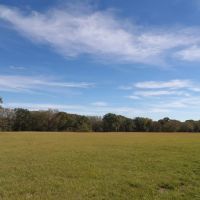 60 ACRES WITH OPEN AND WOODED FOR HUNTING images 2