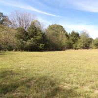 60 ACRES WITH OPEN AND WOODED FOR HUNTING images 3