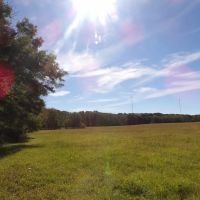 60 ACRES WITH OPEN AND WOODED FOR HUNTING images 5