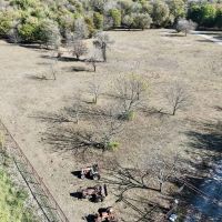 0000 S FM 271 Bonham TX 75418 images 1