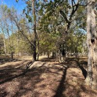 0000 S FM 271 Bonham TX 75418 images 5