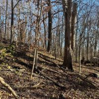 Sandytown 7 images 3
