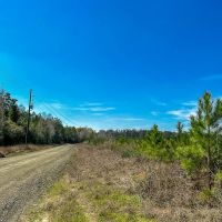 59 acres T-15 Spurger Pines North images 5