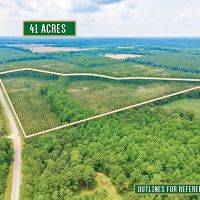 41-Acre Retreat with Thriving Pines on Powell School Road images 3