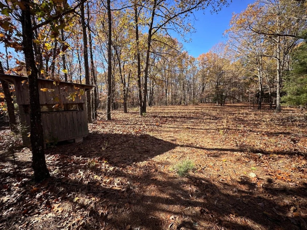 120 - Wooded Acres Hunting Property Sharp County Cave City Arkansas featured image
