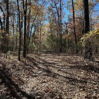 120 - Wooded Acres Hunting Property Sharp County Cave City Arkansas images 3