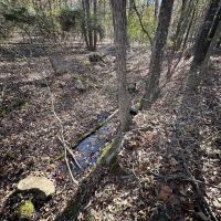 120 - Wooded Acres Hunting Property Sharp County Cave City Arkansas images 4