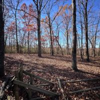 120 - Wooded Acres Hunting Property Sharp County Cave City Arkansas images 5