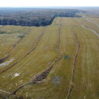 145 - acres Pine Island Dr Abbeville LA 70510 images 5