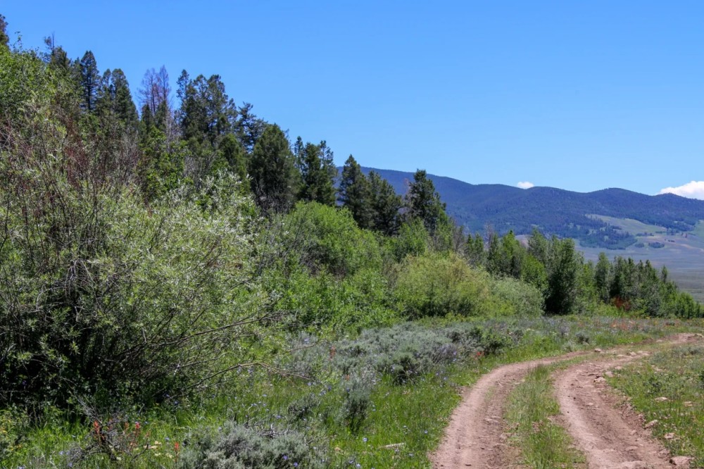 Quakey Mountain Ranch featured image
