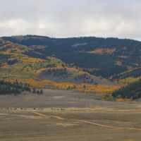 Quakey Mountain Ranch images 4