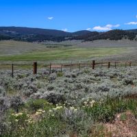 Quakey Mountain Ranch images 5