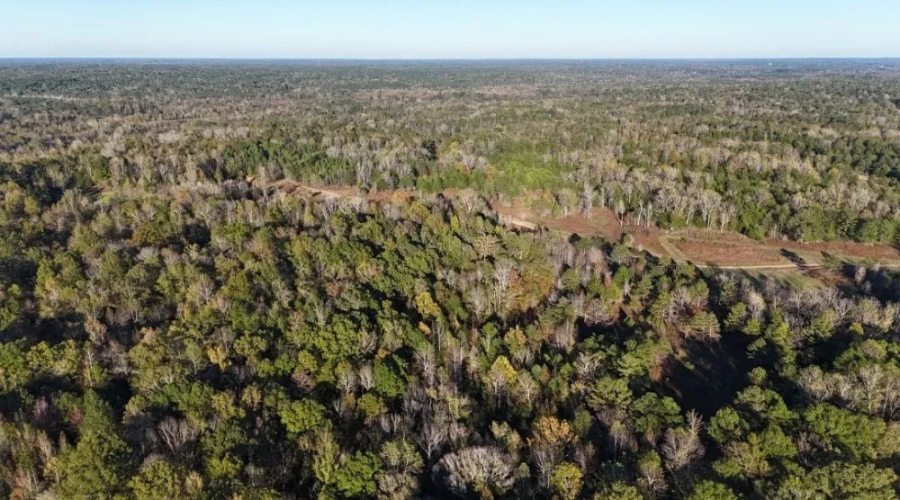 333.5 Acres in Holmes County in Lexington MS featured image