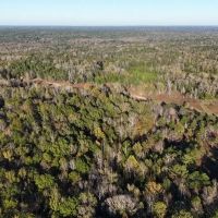 333.5 Acres in Holmes County in Lexington MS